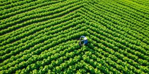 Planos de Saúde para Agrônomo - Total Saúde